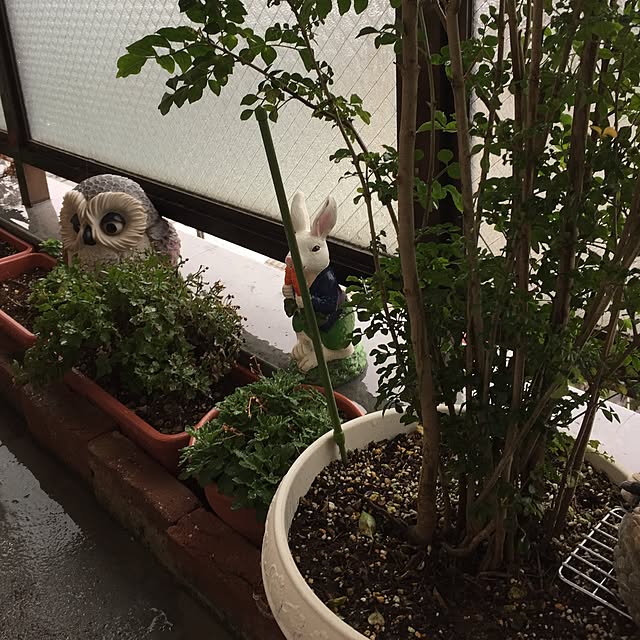 micchanさんの実例写真