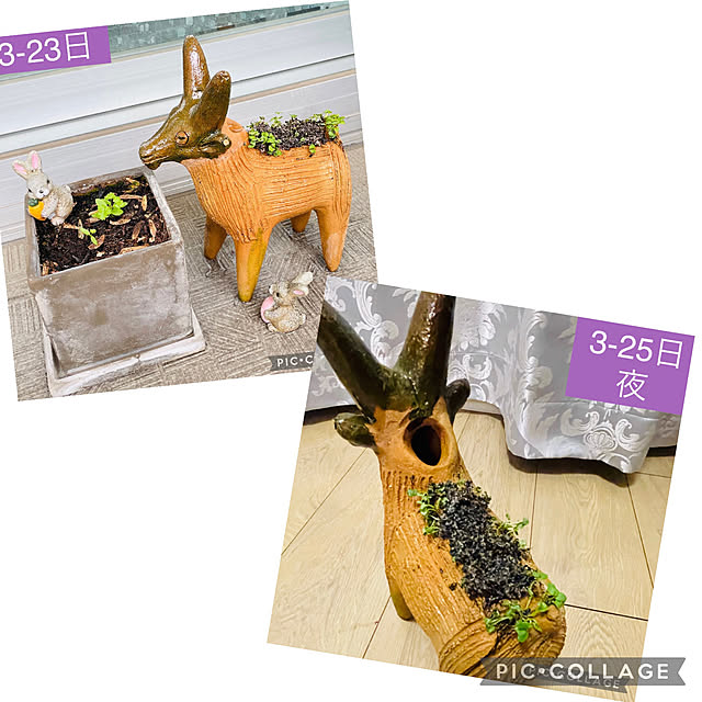 aureaさんの実例写真