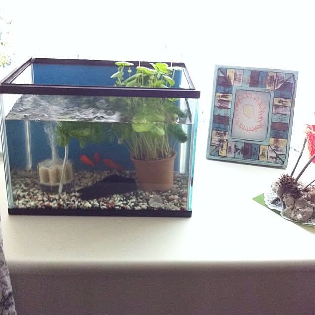 sanma2013さんの実例写真