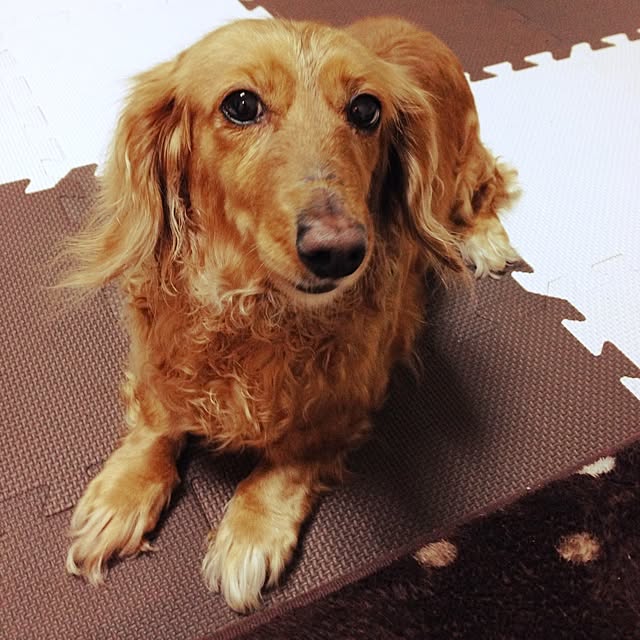 Mizuhoさんの実例写真
