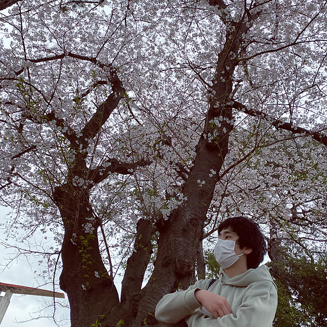 ohanaさんの部屋