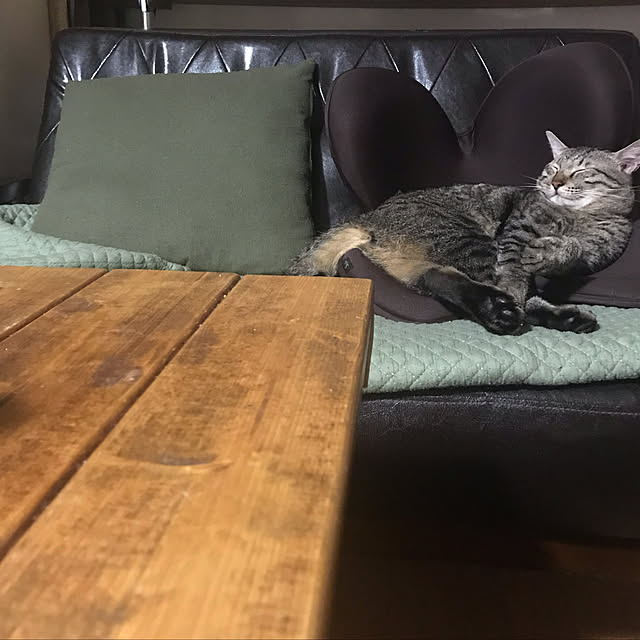 mikan161さんの実例写真