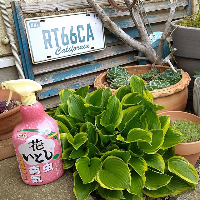 2menmamaさんの実例写真