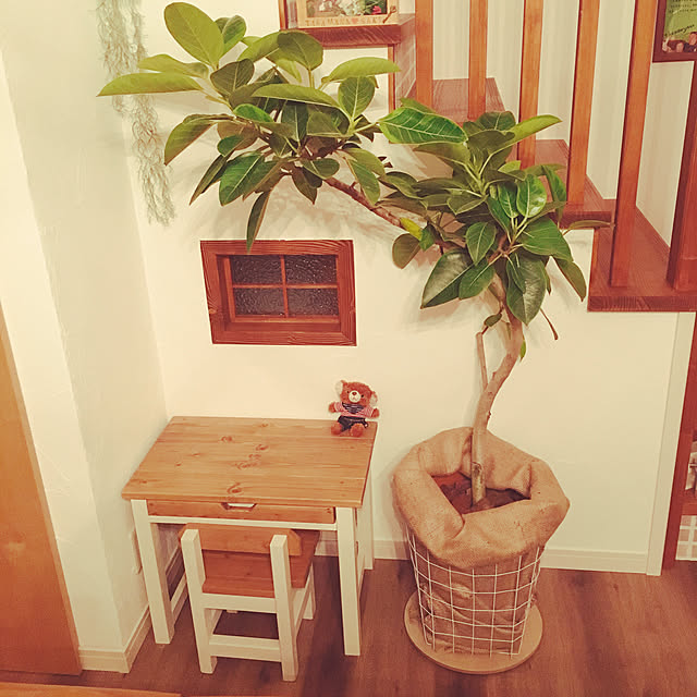 sakiさんの実例写真