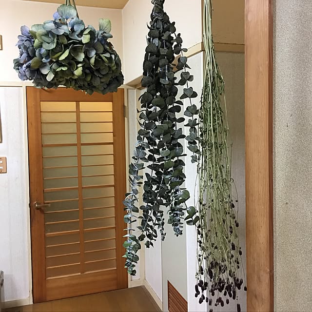 paso-a-paso0315sさんの実例写真