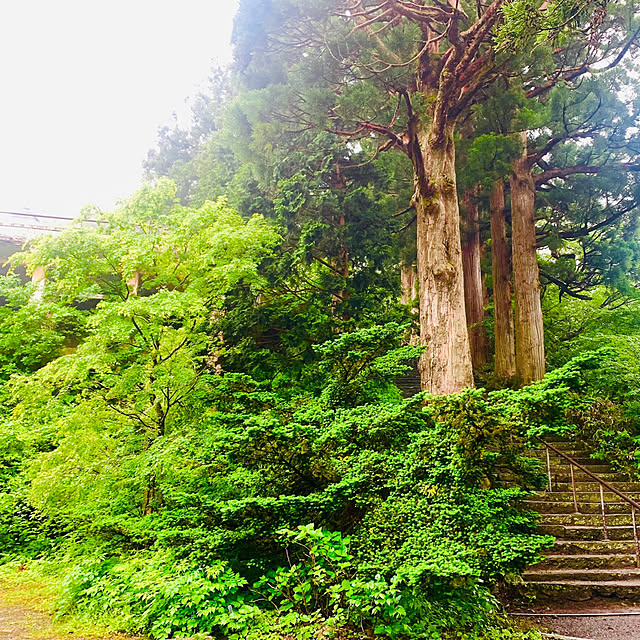 tututu0204さんの部屋