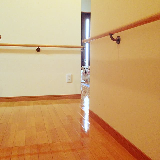 部屋全体のインテリア実例 - 2016-12-05 08:28:08