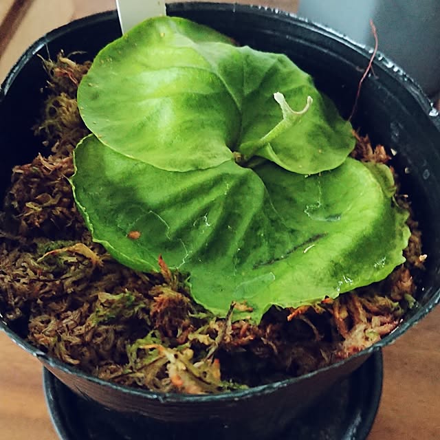 ot-gardenさんの部屋