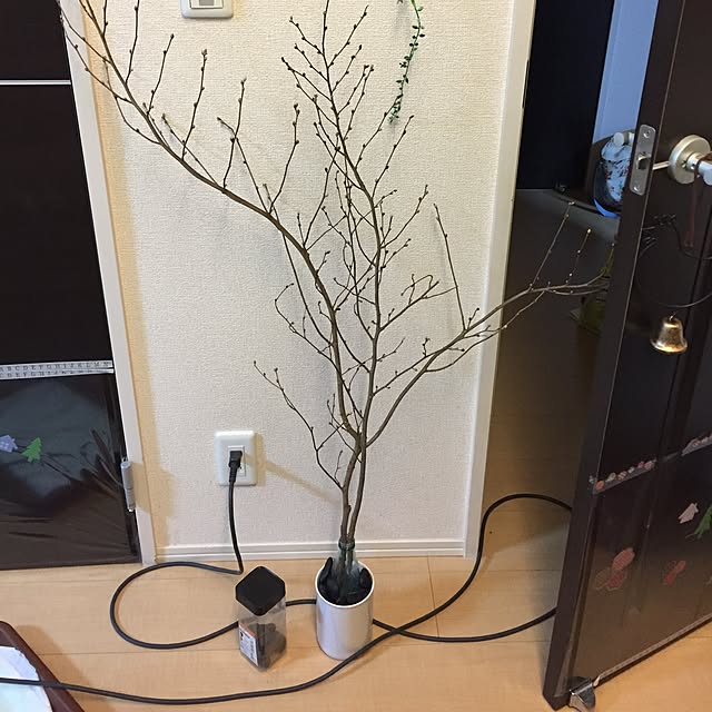 emiさんの実例写真