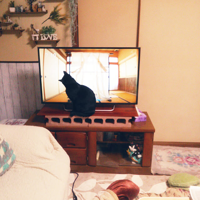 Tomopさんの実例写真