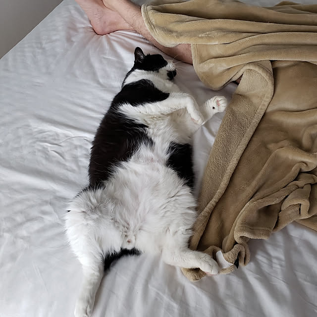 nyagosanさんの実例写真