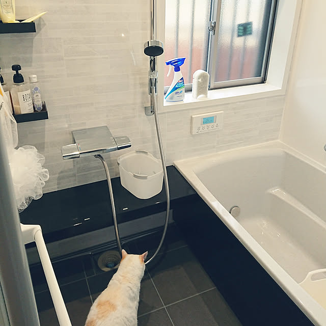 nachiさんの実例写真