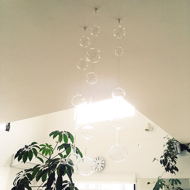 観葉植物/イッタラ/アテネの朝/ツピタンサス/ガラスモビール 観葉植物/イッタラ/アテネの朝/ツピタンサス/ガラスモビール