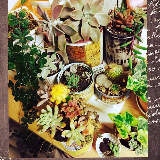 minaさんの実例写真
