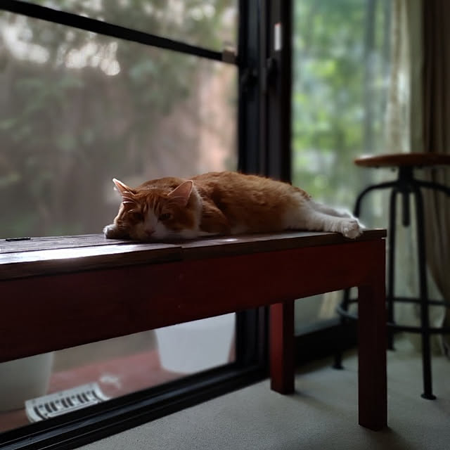mori_6_12さんの実例写真
