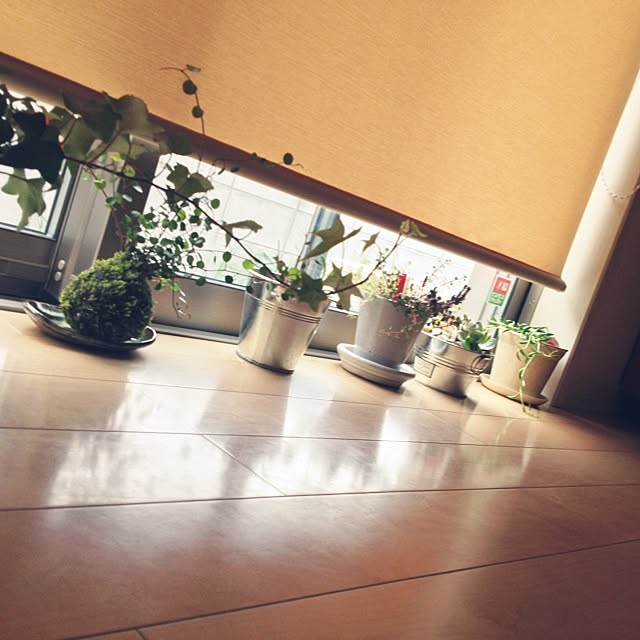 akabaさんの実例写真
