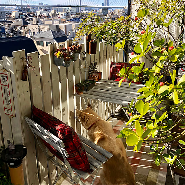 leonaさんの実例写真