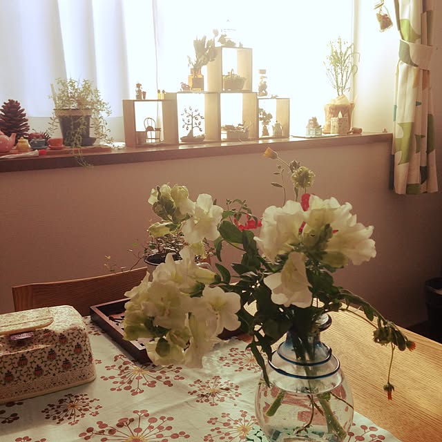 ayayayayaさんの実例写真
