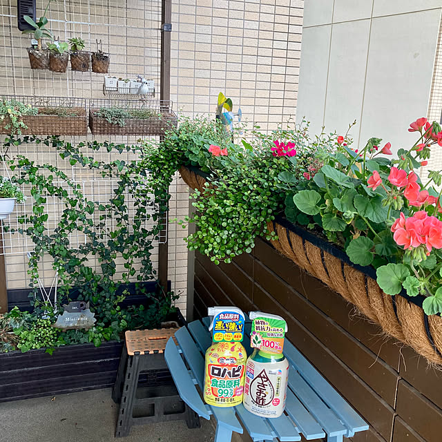 marukoさんの実例写真