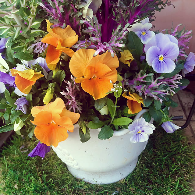 tomoさんの実例写真