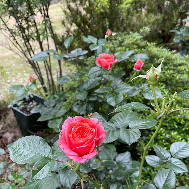 natsumiさんの部屋