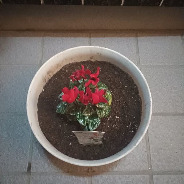 tuushiさんの実例写真