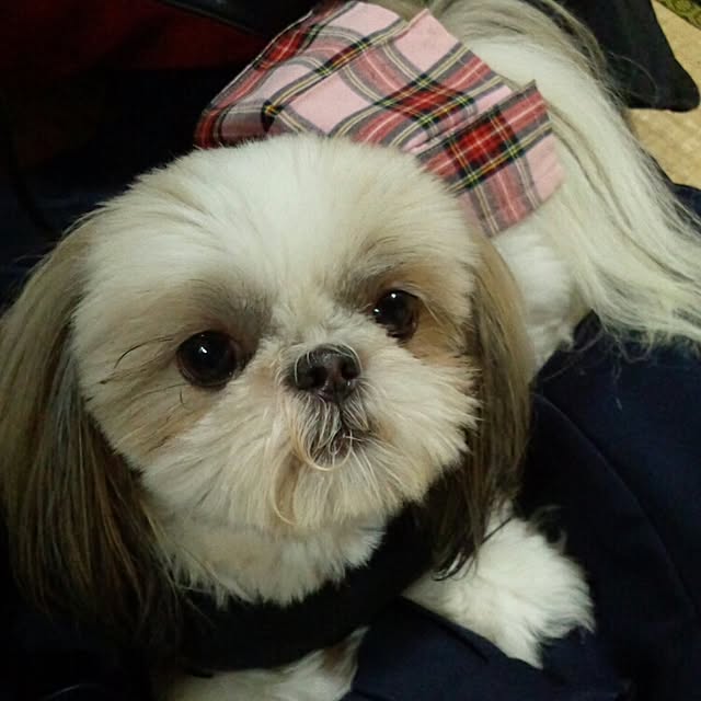 norikuuさんの実例写真
