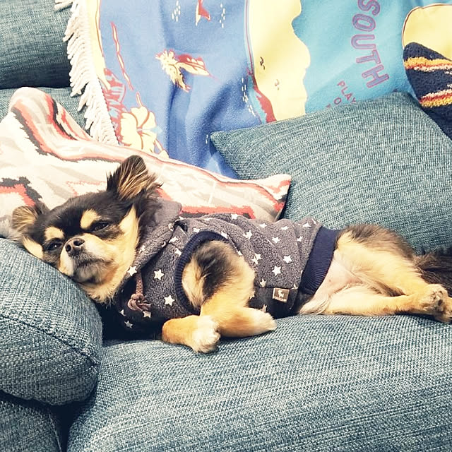 mikaさんの実例写真