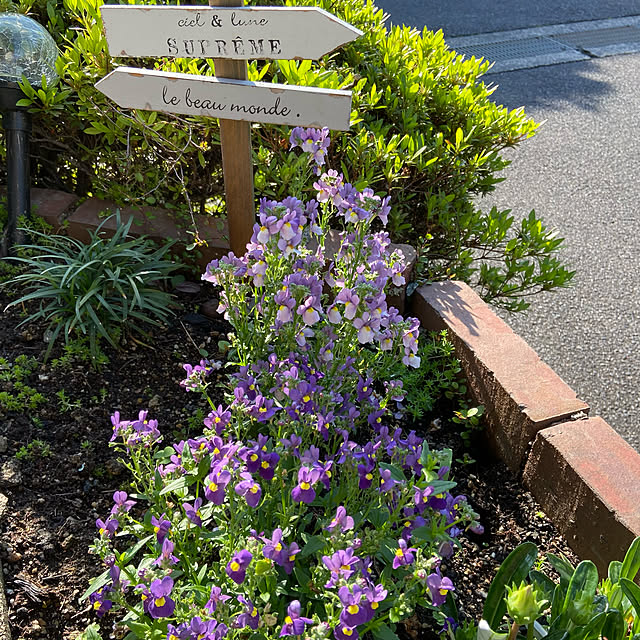 murasaki808さんの実例写真