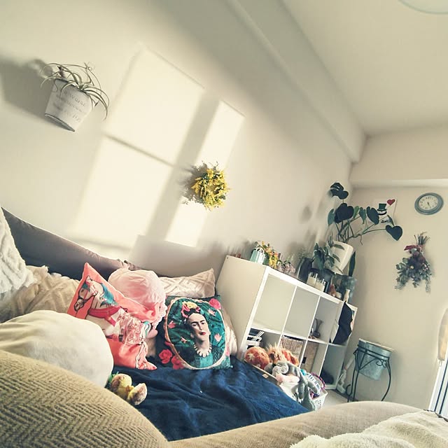 junjunさんの実例写真