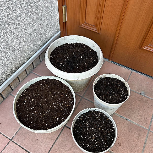 fumikoiさんの部屋