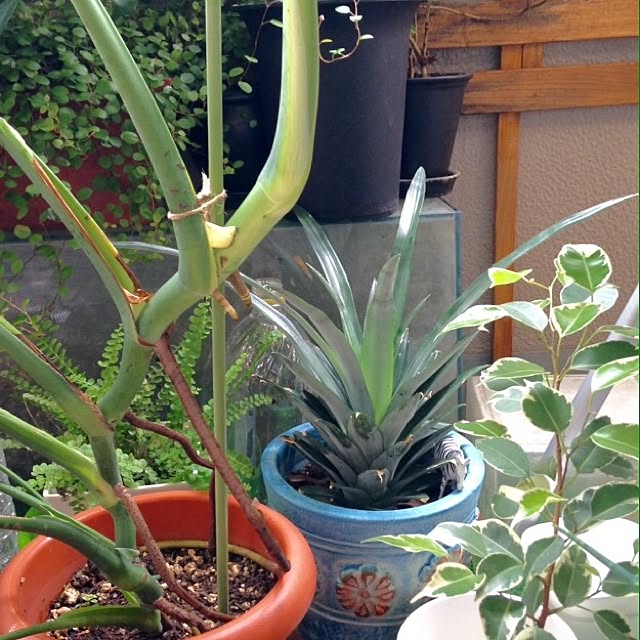 ABARTHさんの実例写真