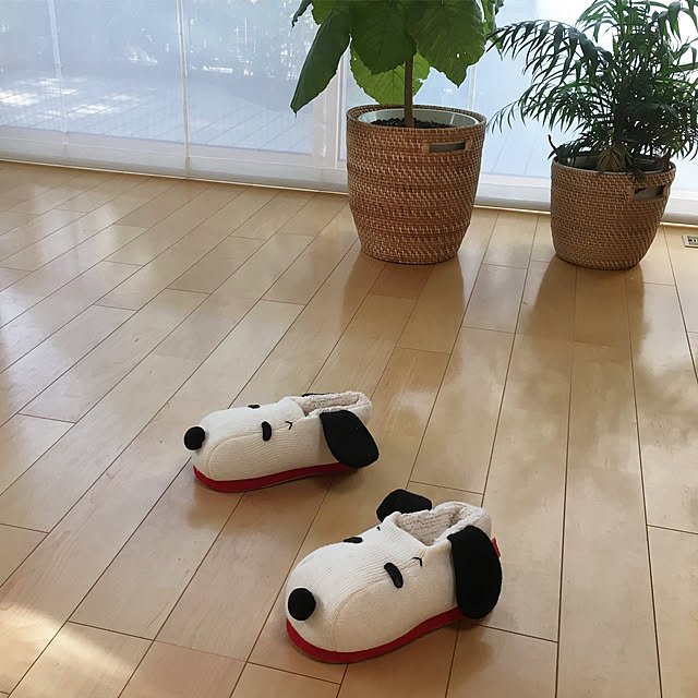 papirinさんの実例写真