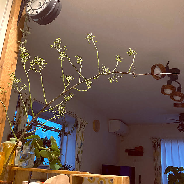 ayayayayaさんの部屋