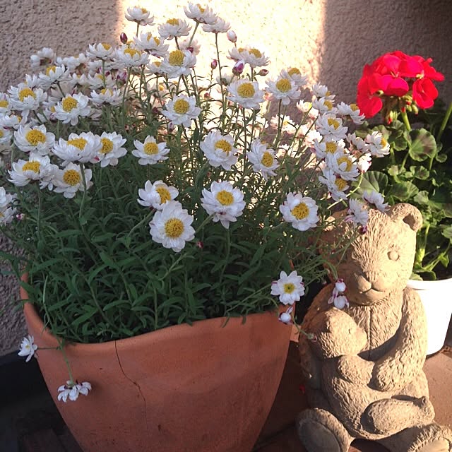 tomoさんの実例写真