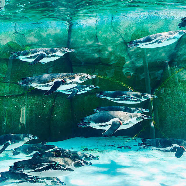 tututu0204さんの部屋