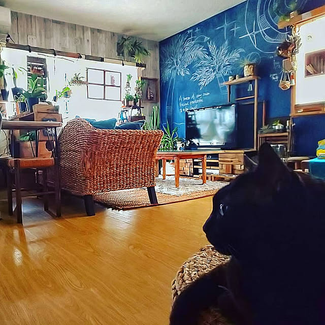 ugさんの実例写真