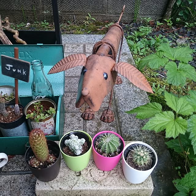 monblanさんの実例写真