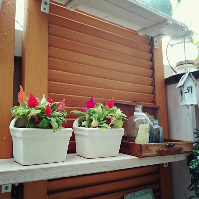 kokkomachaさんの実例写真