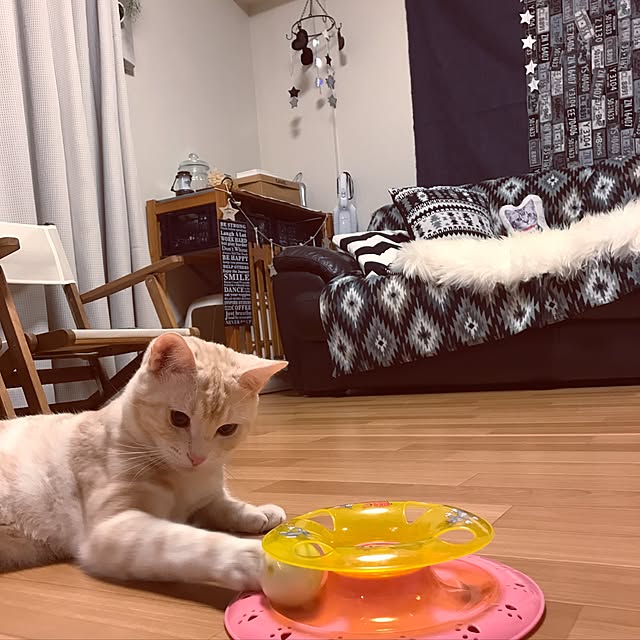 hiyupan88さんの実例写真