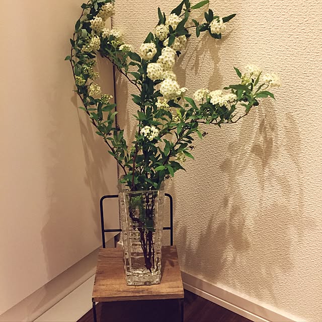Harukaさんの実例写真