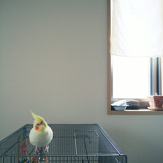 pontaさんの実例写真