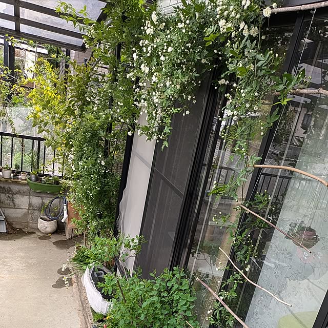 mori_6_12さんの実例写真