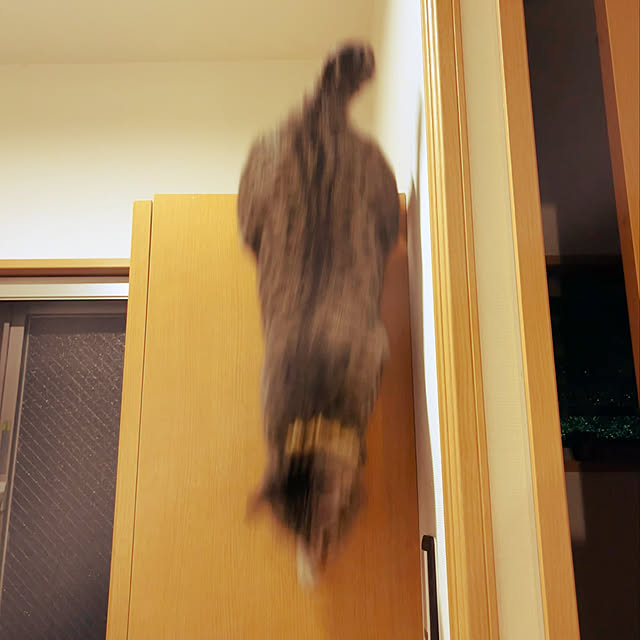 Mさんの実例写真