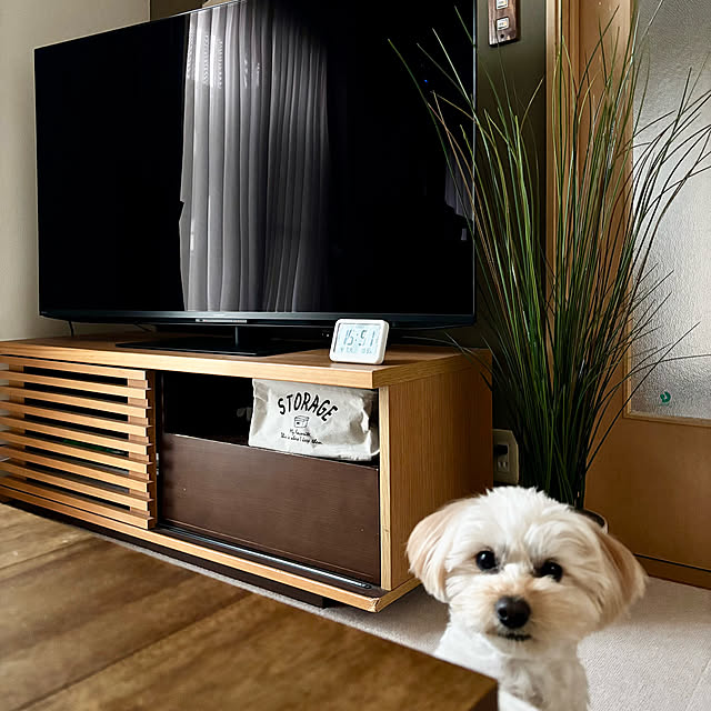 chachamamaさんの実例写真