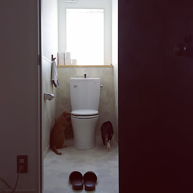 37さんの実例写真