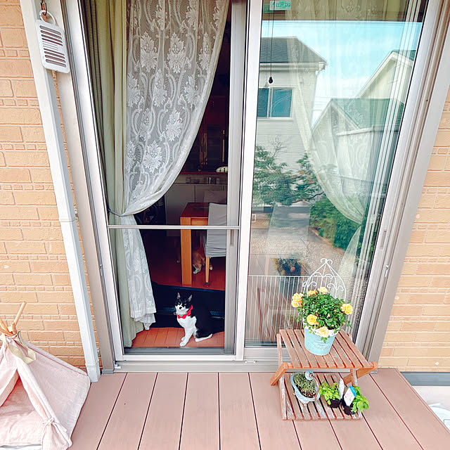 moolさんの実例写真