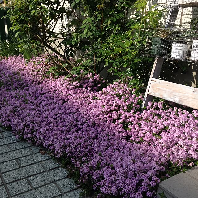 mamahiroさんの実例写真