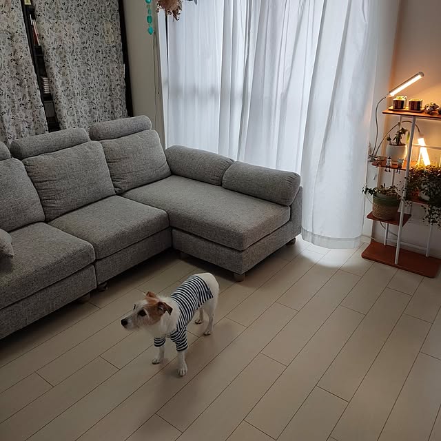 marosukeさんの部屋
