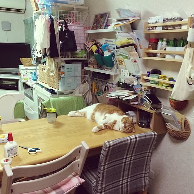 pikkariさんの実例写真